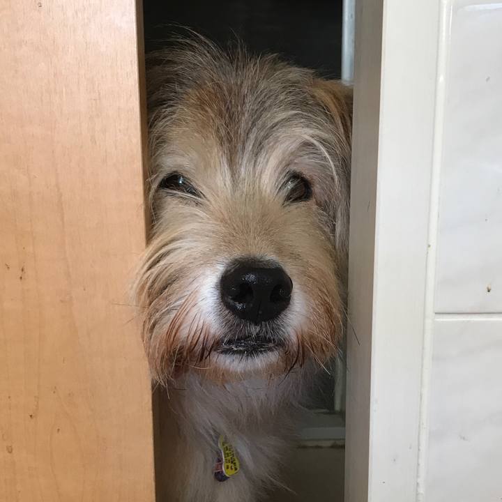 090b3a4e 8212 4d28 b455 736632416134 1575334751718