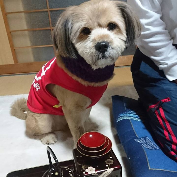 090b42e4 48e9 45d6 96fc eb3388276d5c 1514896462667