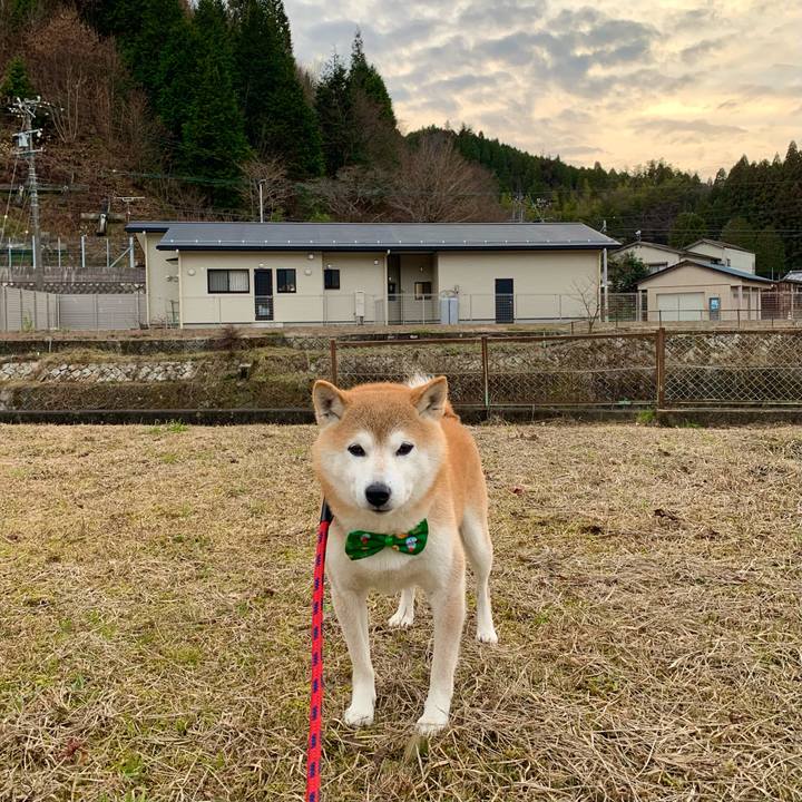 090b4a94 b0b0 4a6b 8dab 71c69aafa832 1671613734566