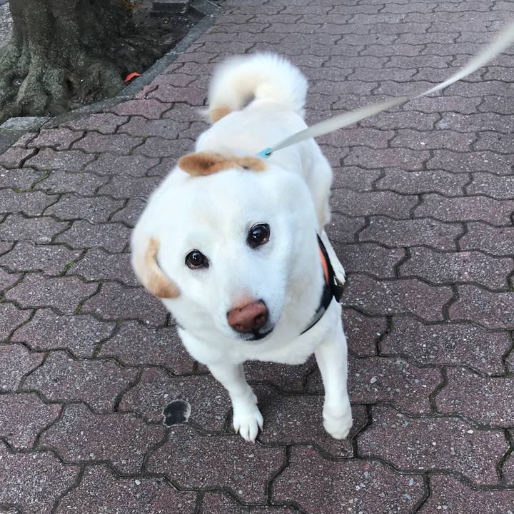 090b530d 09d7 4b57 acc7 b81ba4bddead 1586130204168