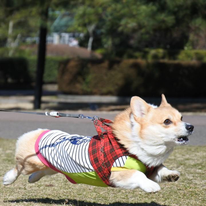 090b6712 c142 47cf 8e21 2c951332d985 1552192571233