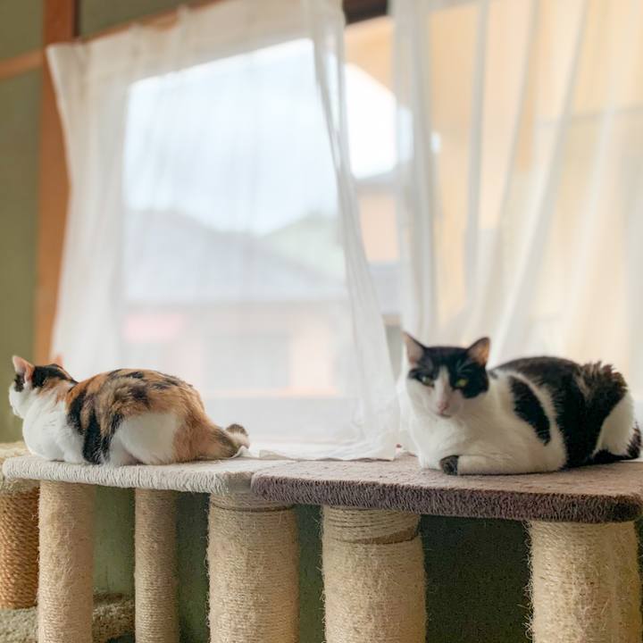 090b79eb c152 495f ae5e 8faff860dadc 1602645505149