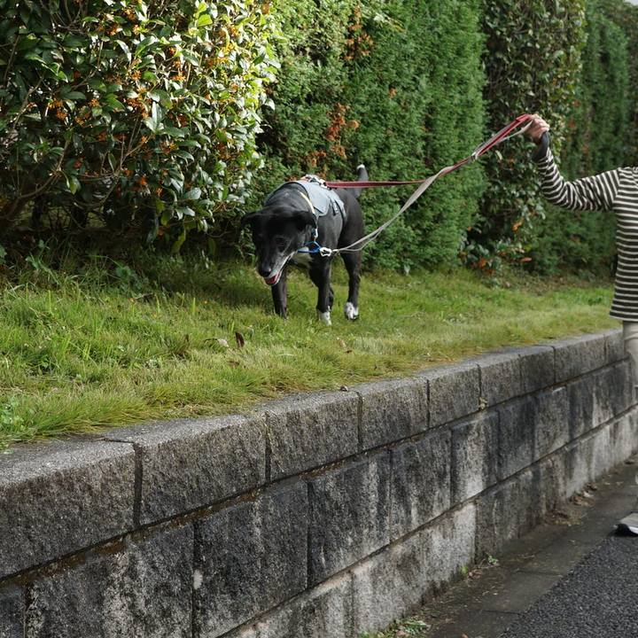 090b79ff 61fe 4ef7 8f73 b04a566532e3 1761525702039