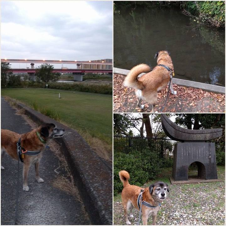 090b8da8 8833 4e81 bf86 dc61b07eba97 1540551494101