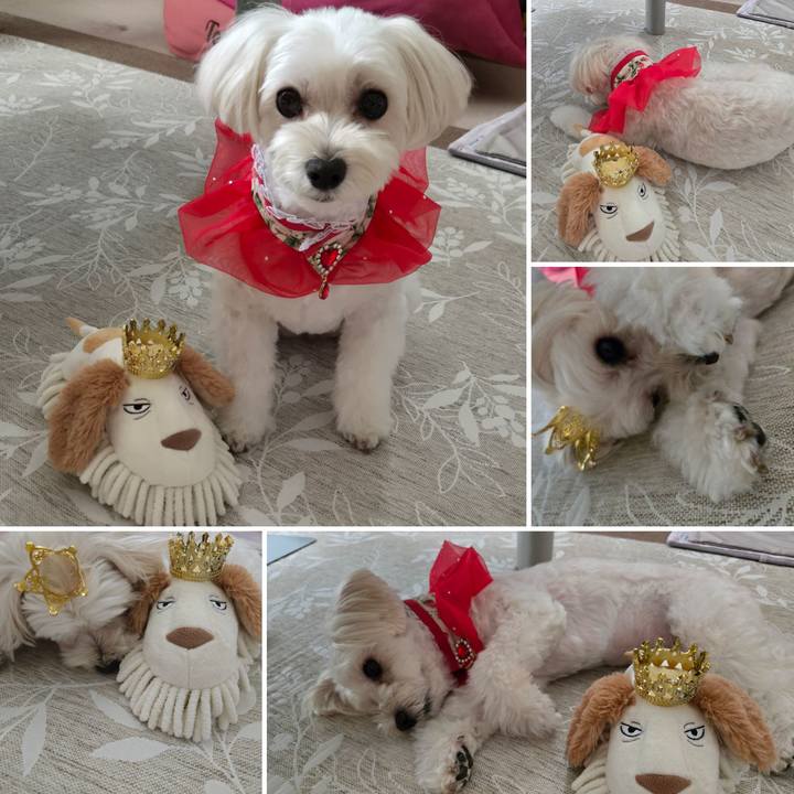 090b9b3a f028 46bf 8418 051930b9c170 1757897529632