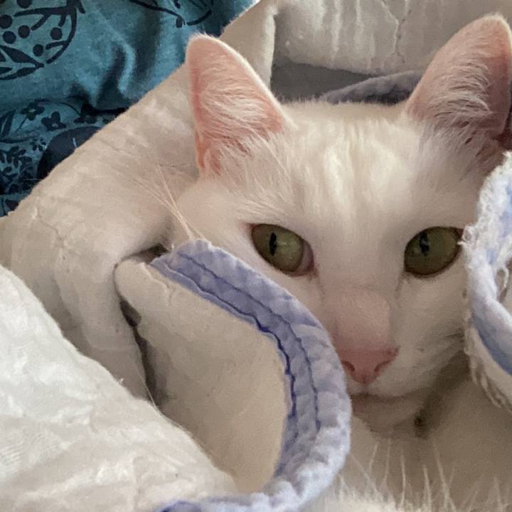 090ba1f4 55b0 4ca4 913a 06a662422e04 1721347612076