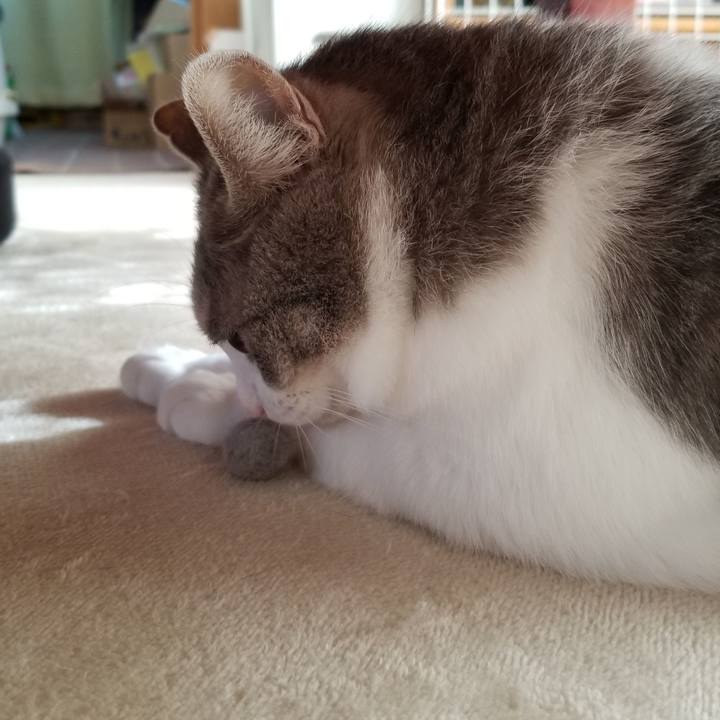 090c0ae0 d59f 4b8a 8d03 c780eca678f9 1670715889738