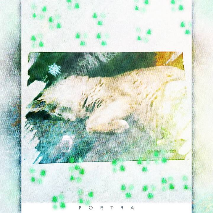 090c19df ecc3 4f28 a5ab 86c844d2dd49 1513669966108