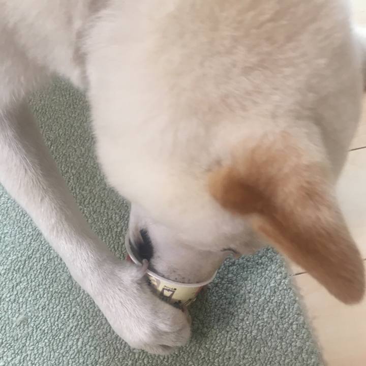 090c43d2 eb52 40fb 9c6e 3e2c90ae5c7f 1528110178707