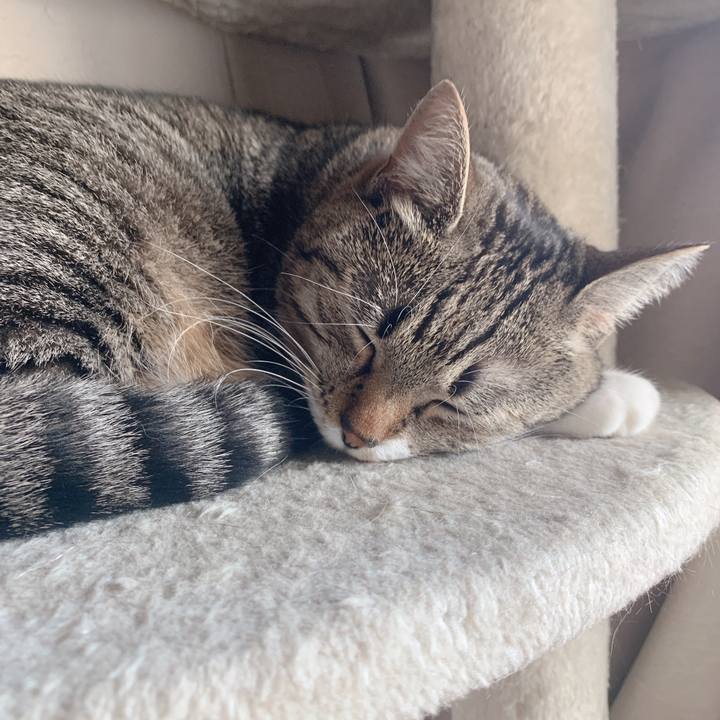 090c4ace dbc0 41d5 9656 555d86fa44bd 1582548206212