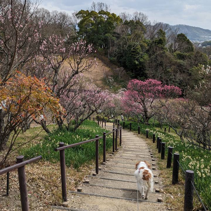 090c4d13 3153 4162 b5d9 ca68c9330299 1678606966832