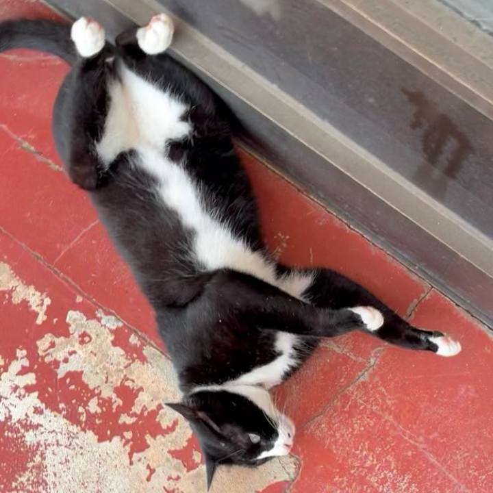 090cb656 6e16 4dc7 b0e4 afca7de6df9e 1752113342027