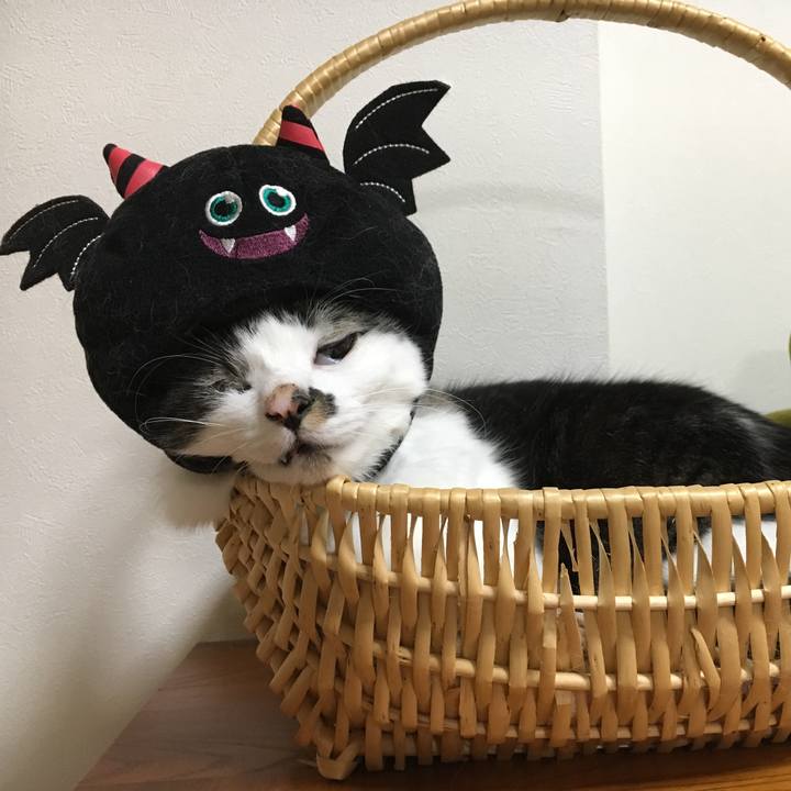 090ce851 9d82 4f7d b42c 63096da75af8 1508554896349