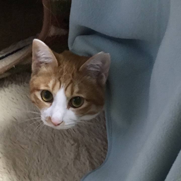 090d3375 8605 450a 9583 132922a6592d 1508145697899