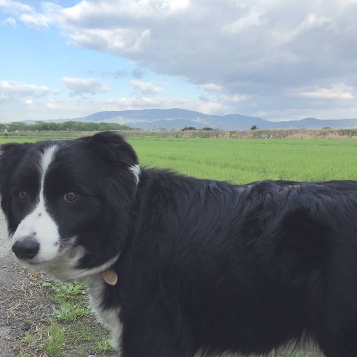 090d3387 ea52 41d9 971f 706cd4ae1ad2 1523139658659