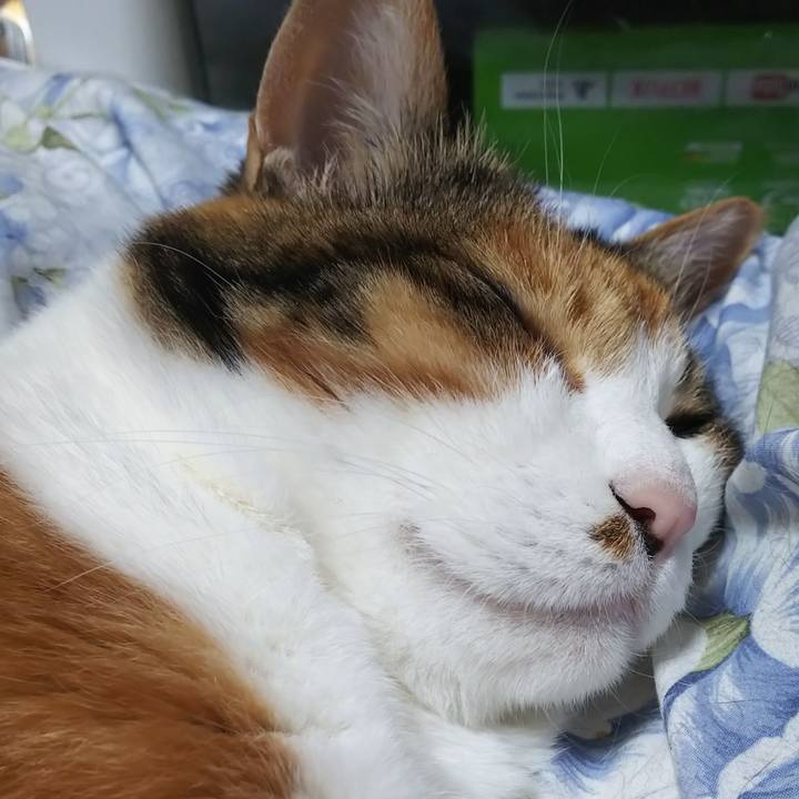 090d33f6 0eaf 4f82 b494 95634e407f23 1593323433257