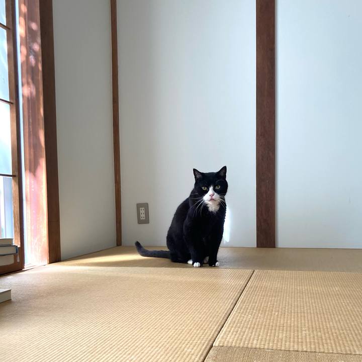 090d4ff3 dd03 44cb b013 368db98179c9 1632015418344