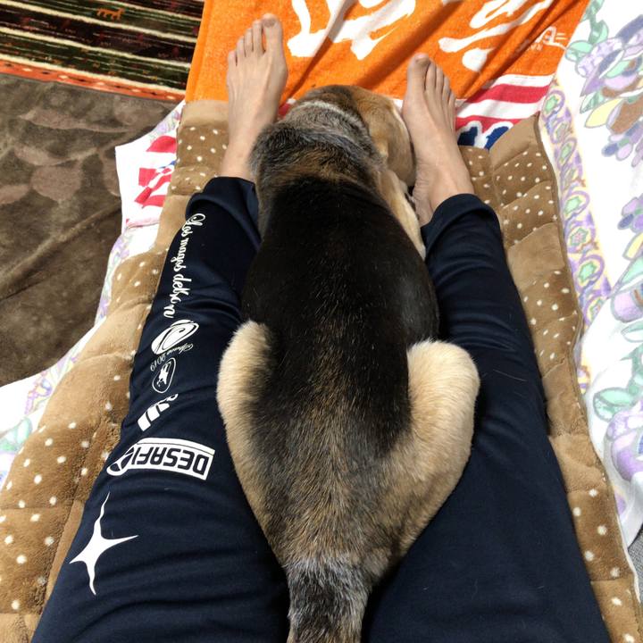 090d5fc6 6c4c 4a66 be91 0c5ab995c1ca 1590234567502