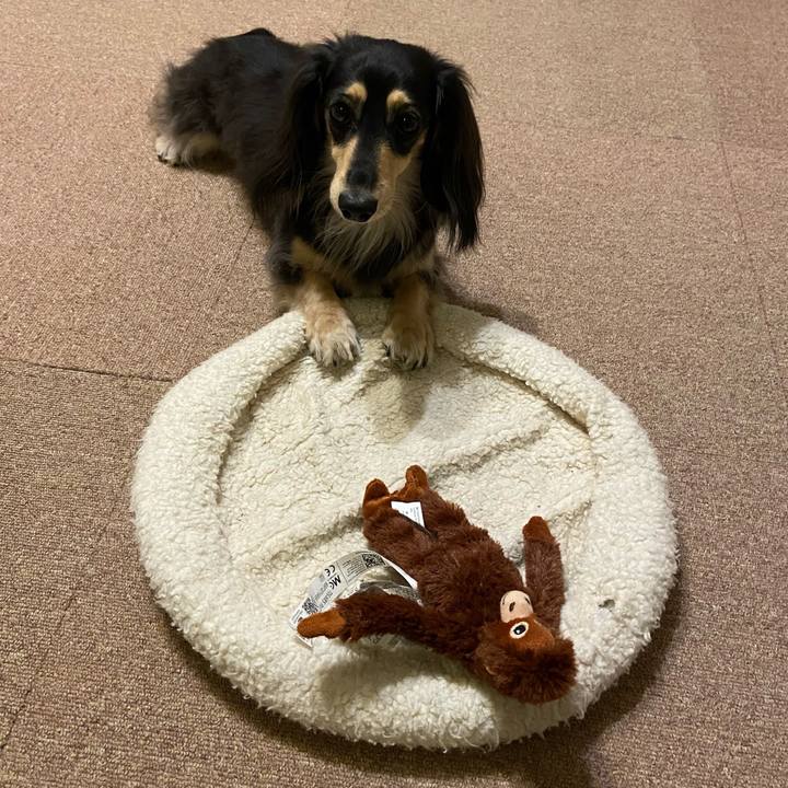 090d8d4e df37 4155 b3dc f97c01bb0aef 1771501467280