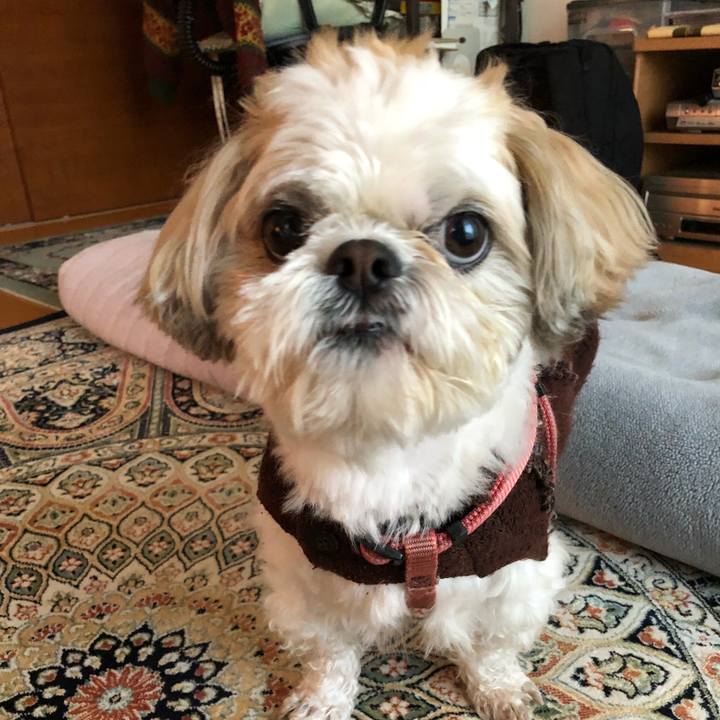 090dcfb1 0923 4b6d 9432 daafb4df026d 1521236422146