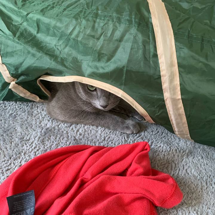 090ddab9 ba11 4a3d 85f8 208f3cae16a3 1631498837538