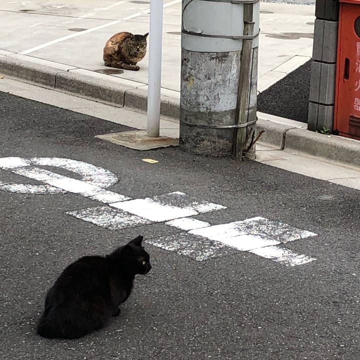 090e157f 5229 488b b81d 81638d3550d2 1556481427951