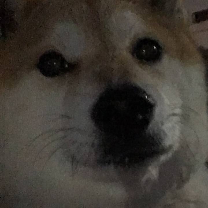 090e3b27 f97e 4eac 9344 fc2455f080c5 1580462683584