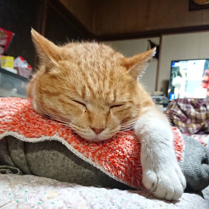 090e7956 5219 4720 a4cb 80d96804e580 1580551660906