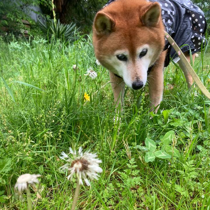 090e7aee 0662 4758 9870 d51549feb0c6 1682484500647