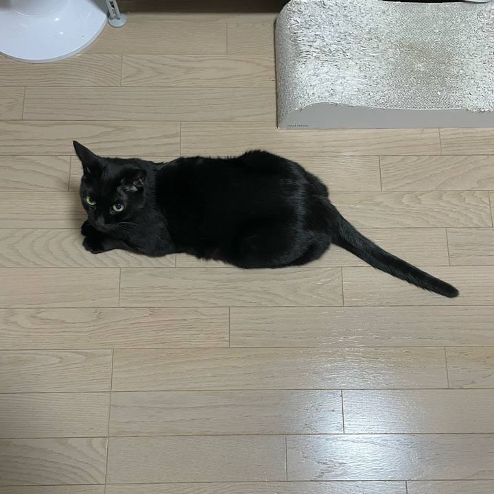 090e8a61 b3ec 4d03 a170 3c7eb0364393 1750425069460