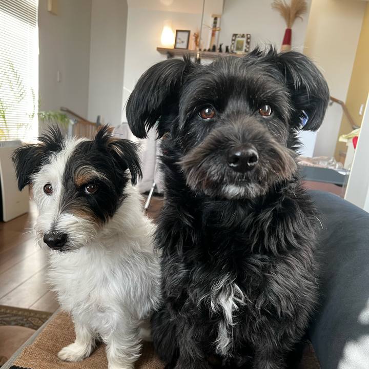 090e9716 8e49 4b95 9104 64662489f441 1738369856520