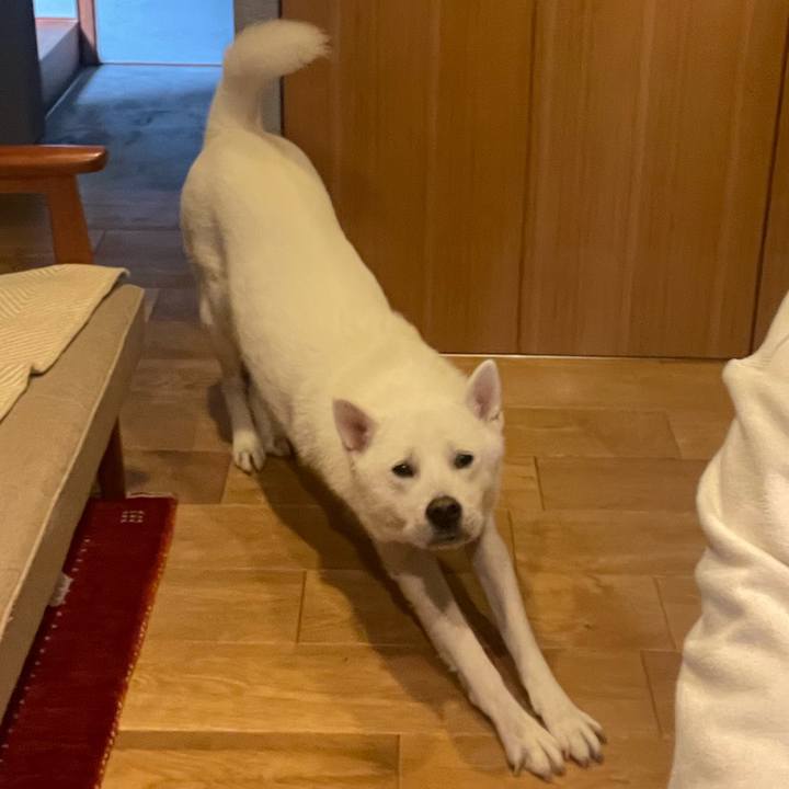 090ed455 c74f 4738 9c6f 79e3ca7ac976 1715077681348