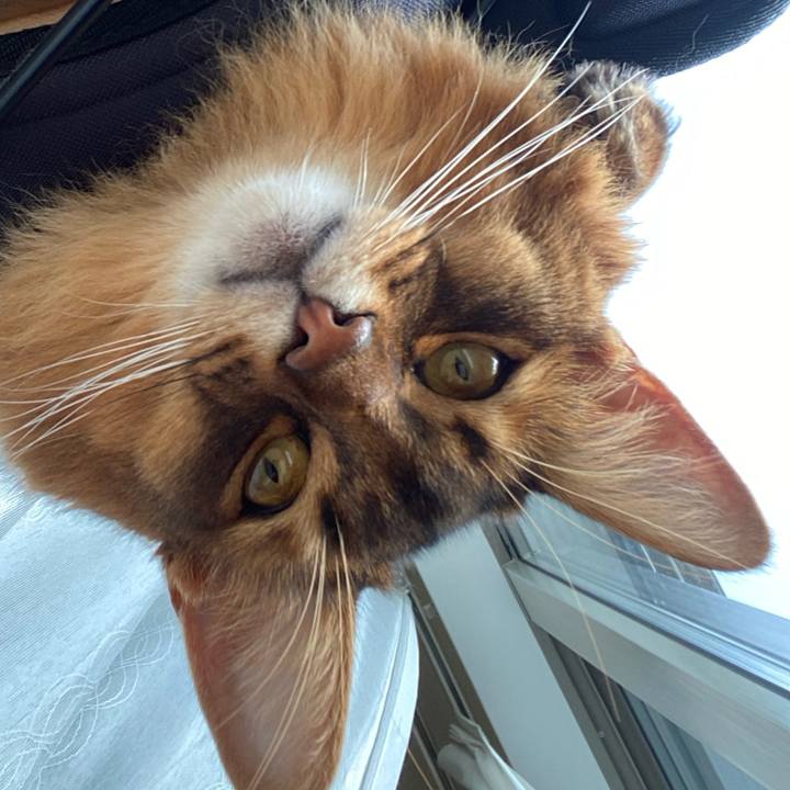 090ed4e3 8739 4d99 b225 2544566c63a1 1672187408286