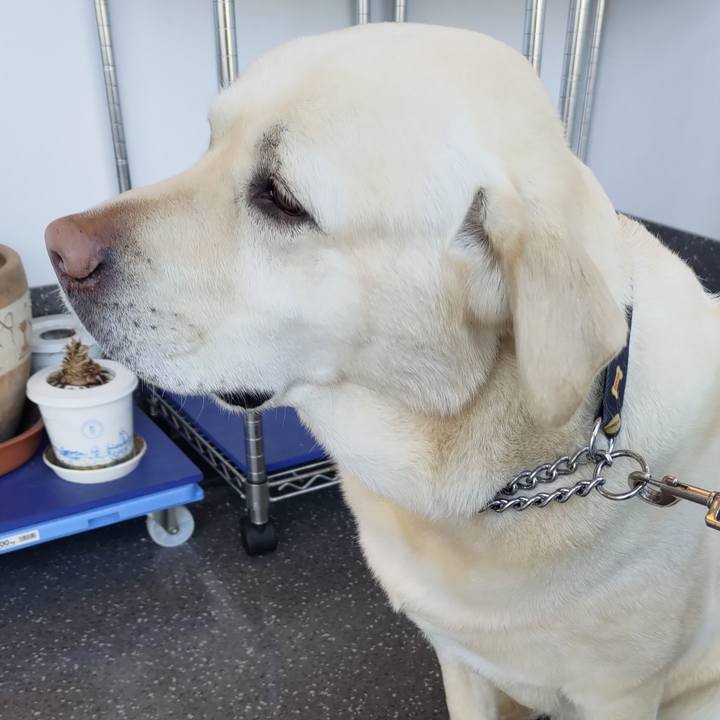 090f00d7 38fb 423c 85d6 5dd8835976b2 1645842972425