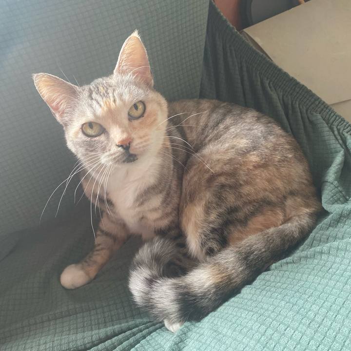 090f07c2 921b 4108 b1b9 0f225b9595f8 1639437832256