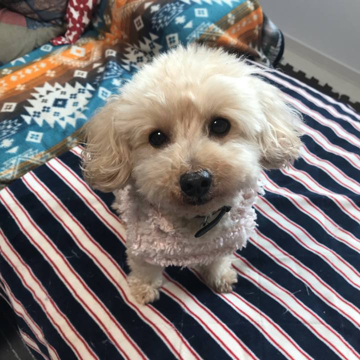 090f4788 592e 4d62 9bc4 b137f4b931ae 1541112767579