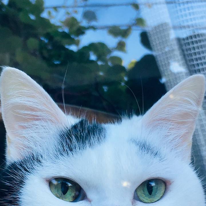 090f54bc 9544 4e22 b813 d9ccb549f9b3 1559616657695