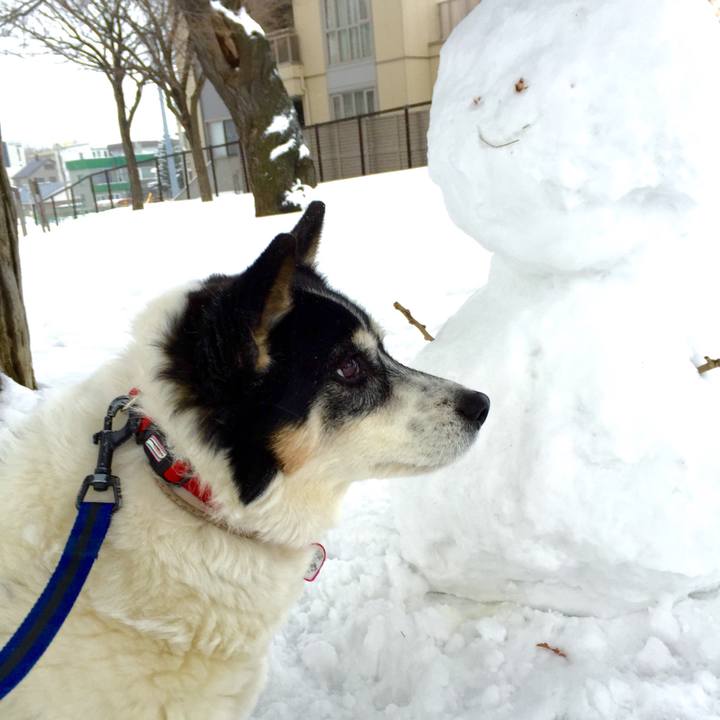 090f5f88 634e 4f69 9835 dba2802826fb 1551278923933