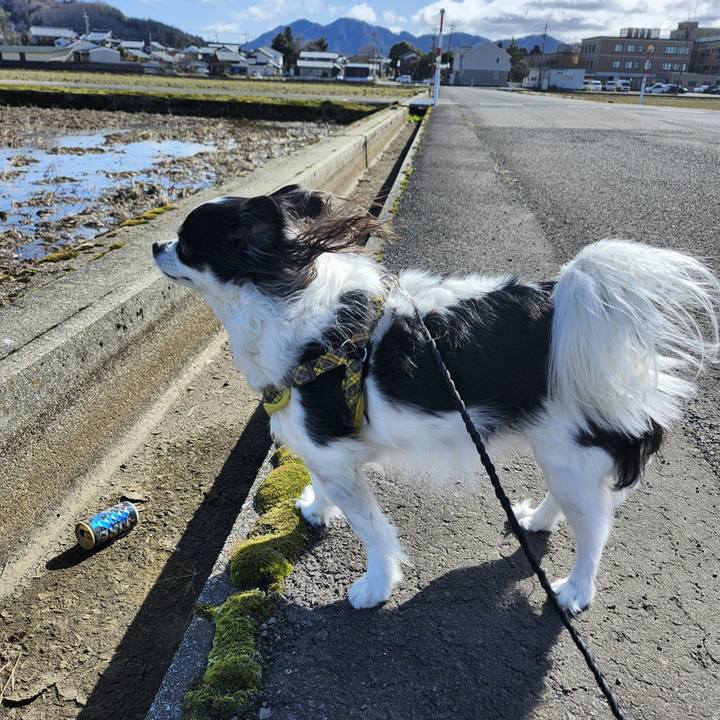 090f70c1 4061 418c aa67 e2a666fb6e0b 1773469294853