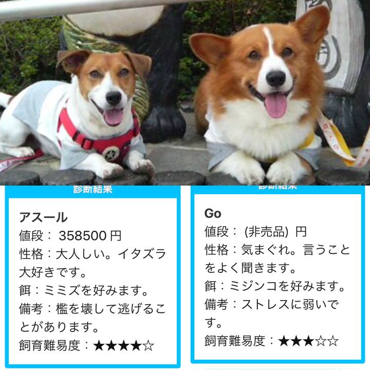 090f75a8 d3a9 46f5 b7cf ec06afd1e96d 1529827800946