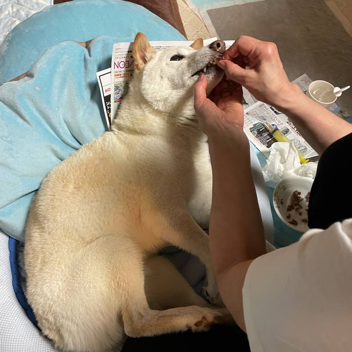 090fa336 ffd4 40c7 bf20 1503c9c297f9 1654099828375