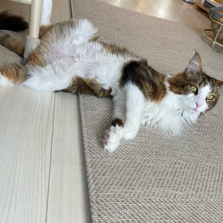 090fb181 7e70 4c9a 8b15 3e05e0dbeb38 1663381004986