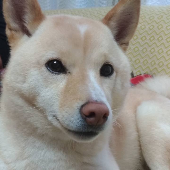 0910026f d64f 4a38 bae6 ba577f31d7db 1551308276248