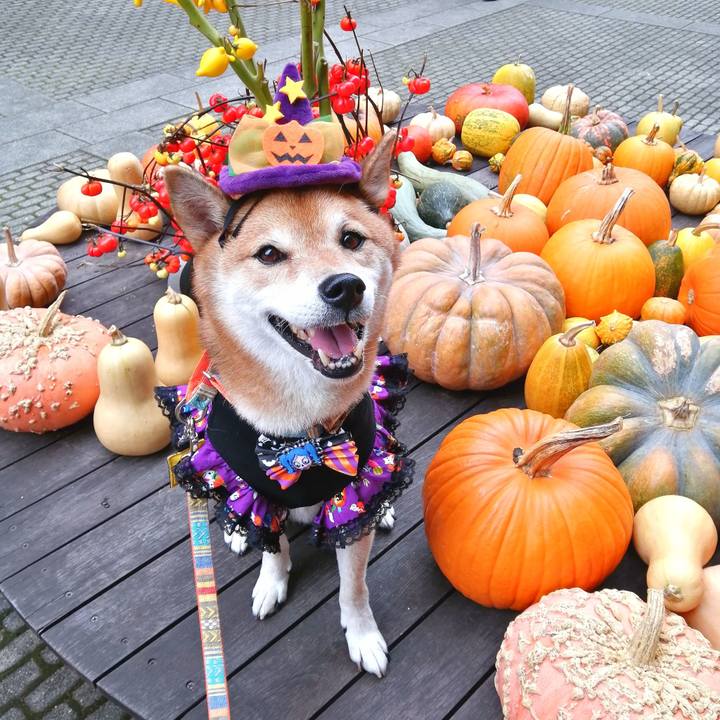 09101563 e183 475b 879a fdc9845a2877 1665241831188