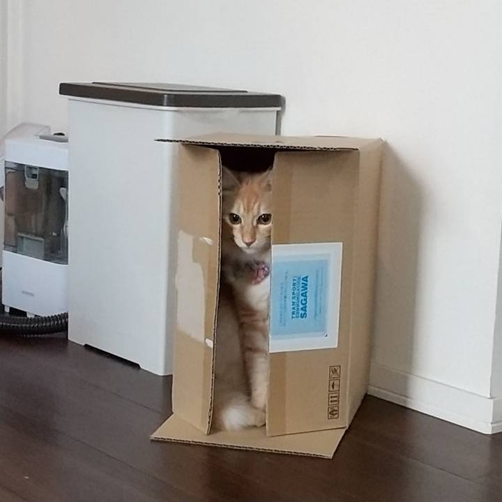 0910195f 619d 429b a233 2041843c0414 1635216019409