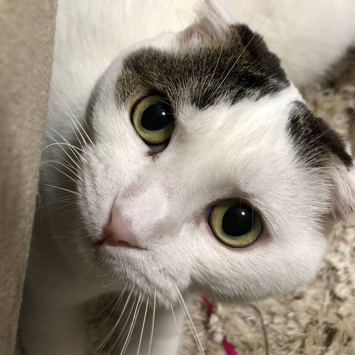 09102d35 2612 41a3 baf9 d59a1e7bcac7 1539174523198