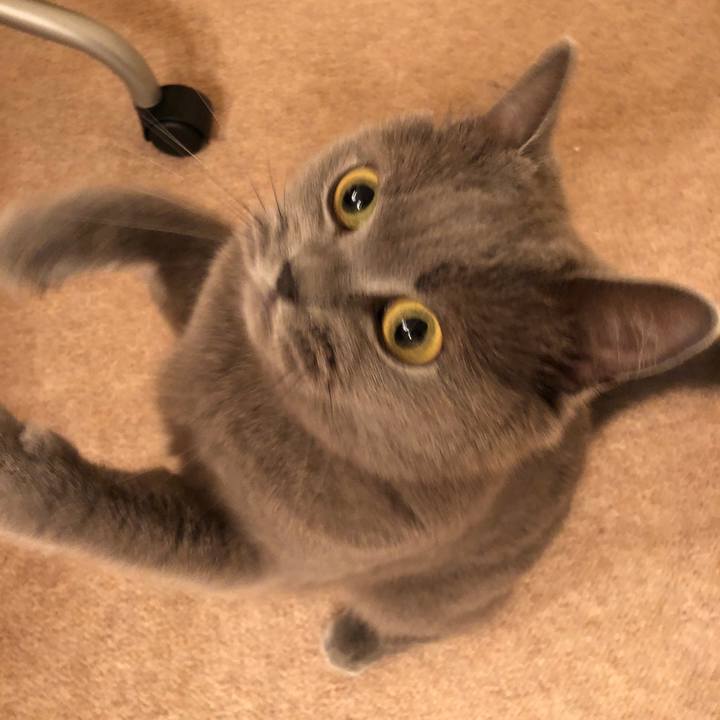 0910313c f018 4cec 97ab ff04acd40178 1528719476907