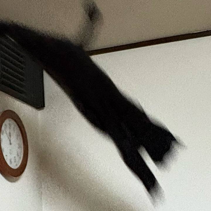 091034f6 8adf 4bb7 8040 9300e2fcceab 1768391176965