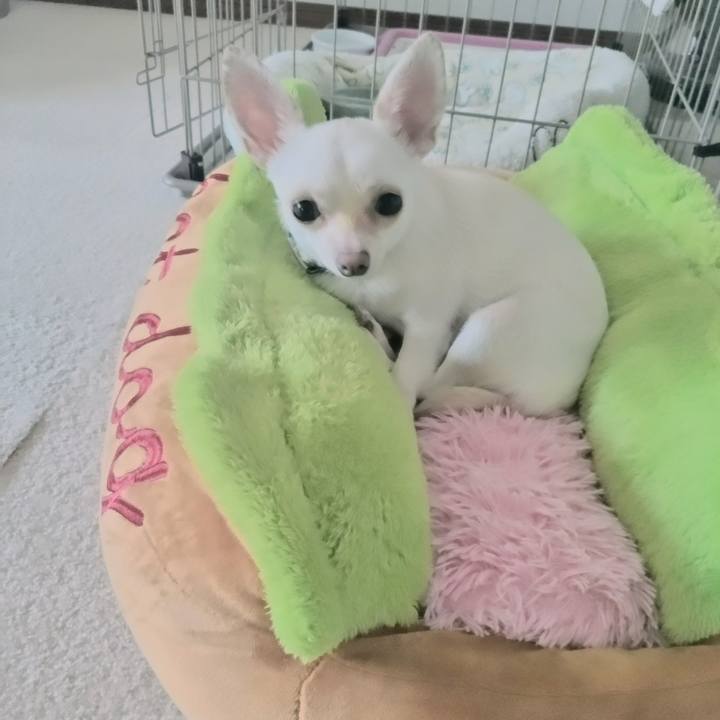 091078b3 380a 4307 bc53 44206db182f3 1724213395692