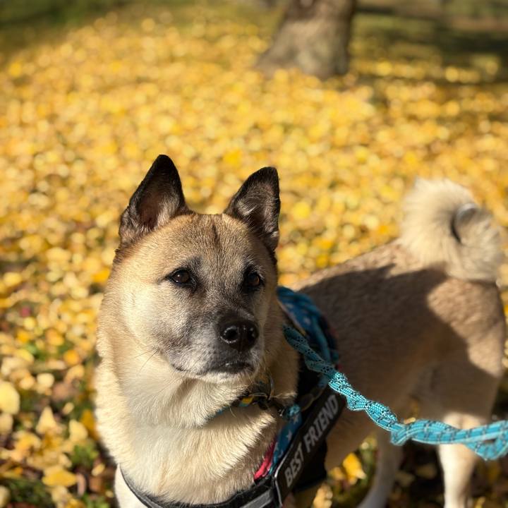 0910c553 942c 4966 b866 9a0d54044e50 1764501879861